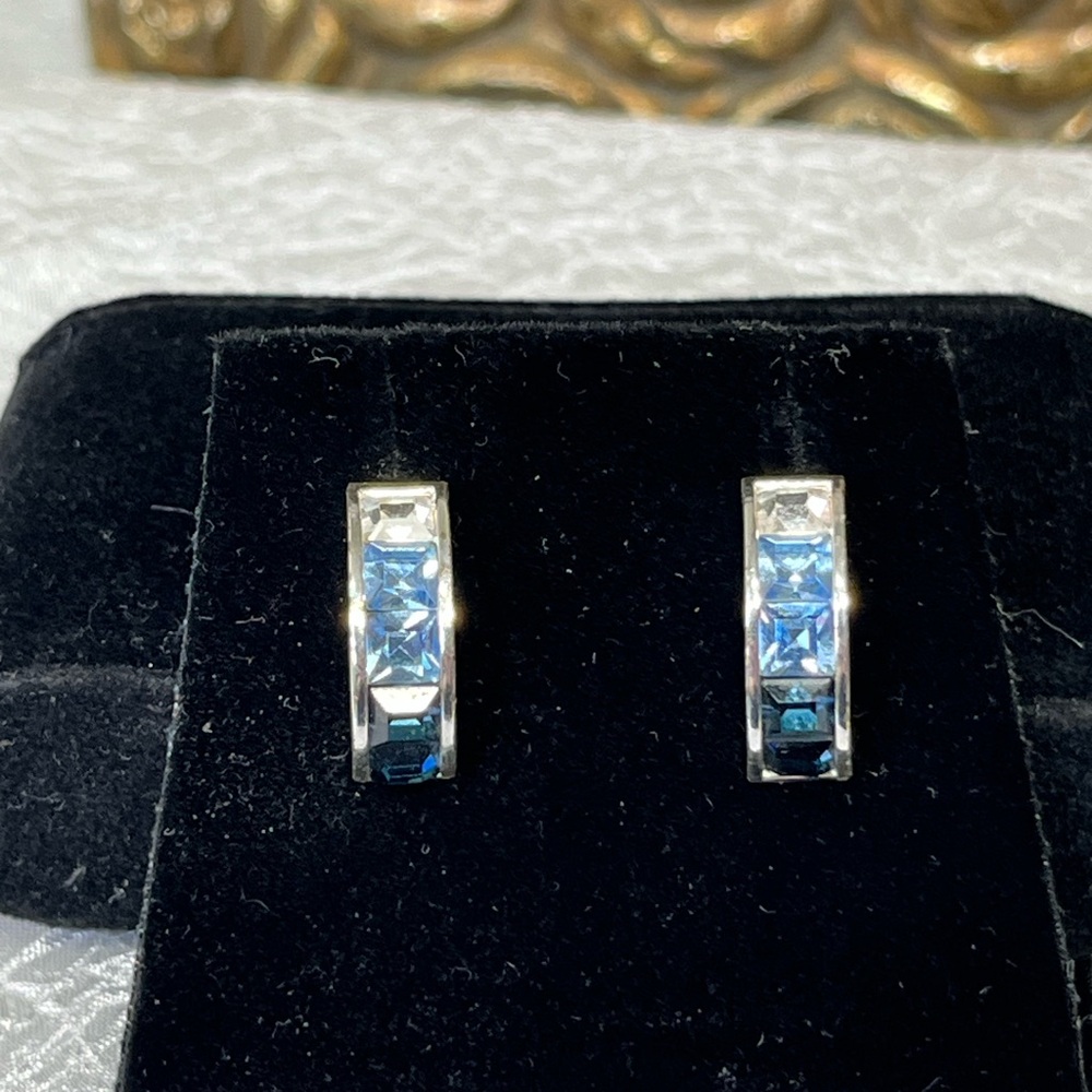Vintage Roman Elegant Silver and Blue Earrings